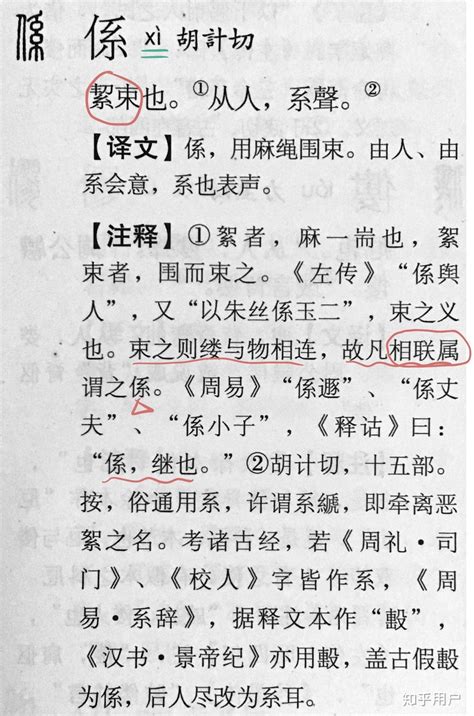 係因意思|如何區分「系」「係」「繫」三個字？